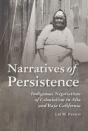 Narratives Of Persistence - Preview
