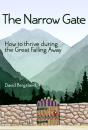 Narrow Gate - Preview