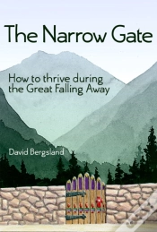 Capa do artigo Narrow Gate