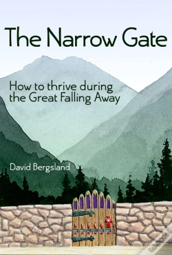 Capa do artigo Narrow Gate