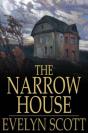 Narrow House - Preview