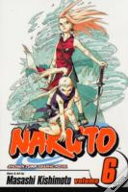 Capa do artigo Naruto, Vol. 6