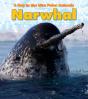 Narwhal - Preview