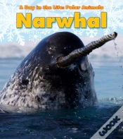Capa do artigo Narwhal