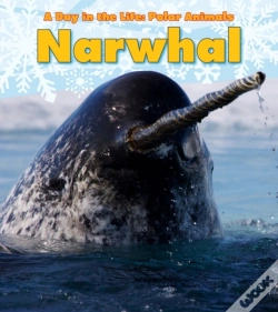 Capa do artigo Narwhal