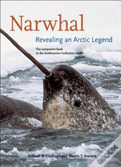 Narwhal