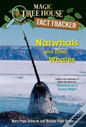 Narwhals And Other Whales