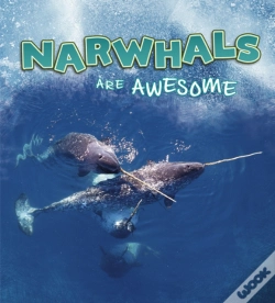 Capa do artigo Narwhals Are Awesome