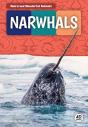 Narwhals - Preview