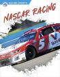 Nascar Racing - Preview