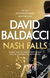 Capa do artigo Nash Falls