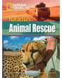 Natacha'S Animal Rescue3000 Headwords - Preview