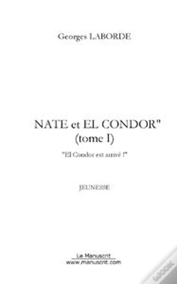 Capa do artigo Nate Et El Condor Tome 1