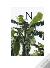 Capa do artigo Nathaniel Goldberg