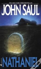 Capa do artigo Nathaniel