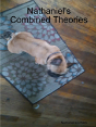 Nathaniel'S Combined Theories - Preview