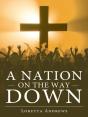 Nation On The Way Down - Preview