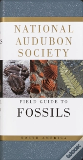 National Audubon Society Field Guide To Fossils