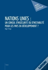 Nations Unies : Un Conseil D'Insecurite Ou D'Instabilite Pour Les Pays En Developpement?