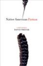 Native American Fiction - Preview