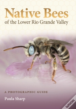 Capa do artigo Native Bees Of The Lower Rio Grande Valley