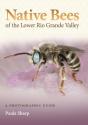 Native Bees Of The Lower Rio Grande Valley - Preview