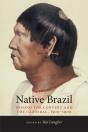 Native Brazil - Preview