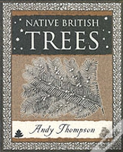 Capa do artigo Native British Trees