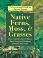 Native Ferns, Moss, And Grasses - Preview