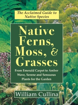 Capa do artigo Native Ferns, Moss, And Grasses