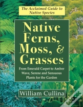 Native Ferns, Moss, And Grasses