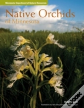 Native Orchids Of Minnesota