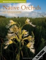Native Orchids Of Minnesota
