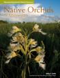 Native Orchids Of Minnesota - Preview