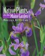 Native Plants For Your Maine Gpb - Preview