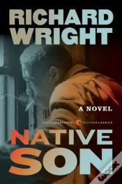 Capa do artigo Native Son