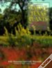 Native Texas Plants