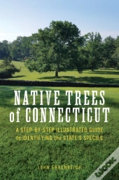 Native Trees Of Connecticut
