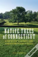 Native Trees Of Connecticut