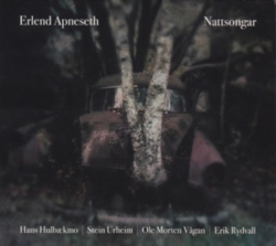 Capa do artigo Nattsongar - Vinil