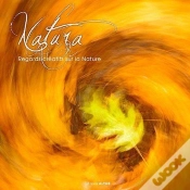Capa do artigo Natura  Regards Creatifs Sur La Nature