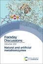 Natural And Artificial Metalloenzymes - Preview