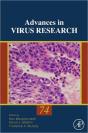 Natural And Engineered Resistance To Plant Viruses - Preview