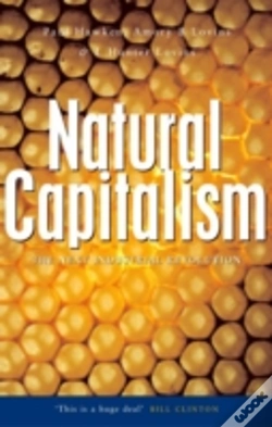 Capa do artigo Natural Capitalism
