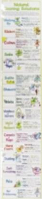 Natural Cleaning Solutions Chart - Preview