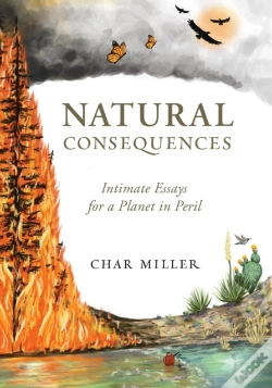 Capa do artigo Natural Consequences