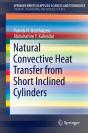 Natural Convective Heat Transfer From Short Inclined Cylinders - Preview