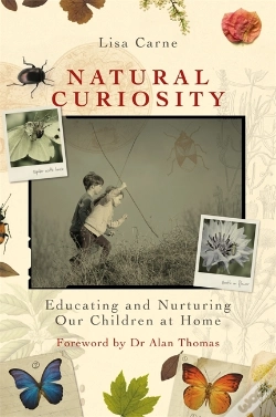 Capa do artigo Natural Curiosity