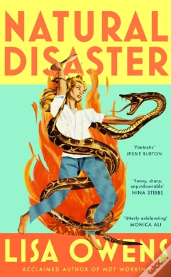 Capa do artigo Natural Disaster