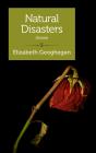 Natural Disasters - Preview